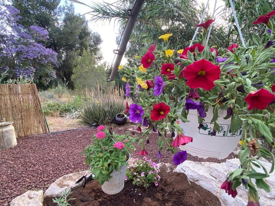 Bit Cabin Near The Airport Kfar Daniel Экстерьер фото